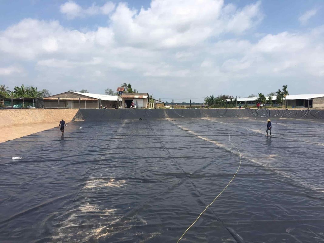 Thi công màng chống thấm HDPE