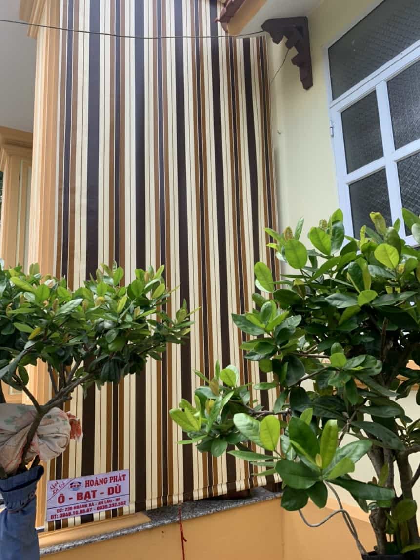 Bạt che nắng tự cuốn