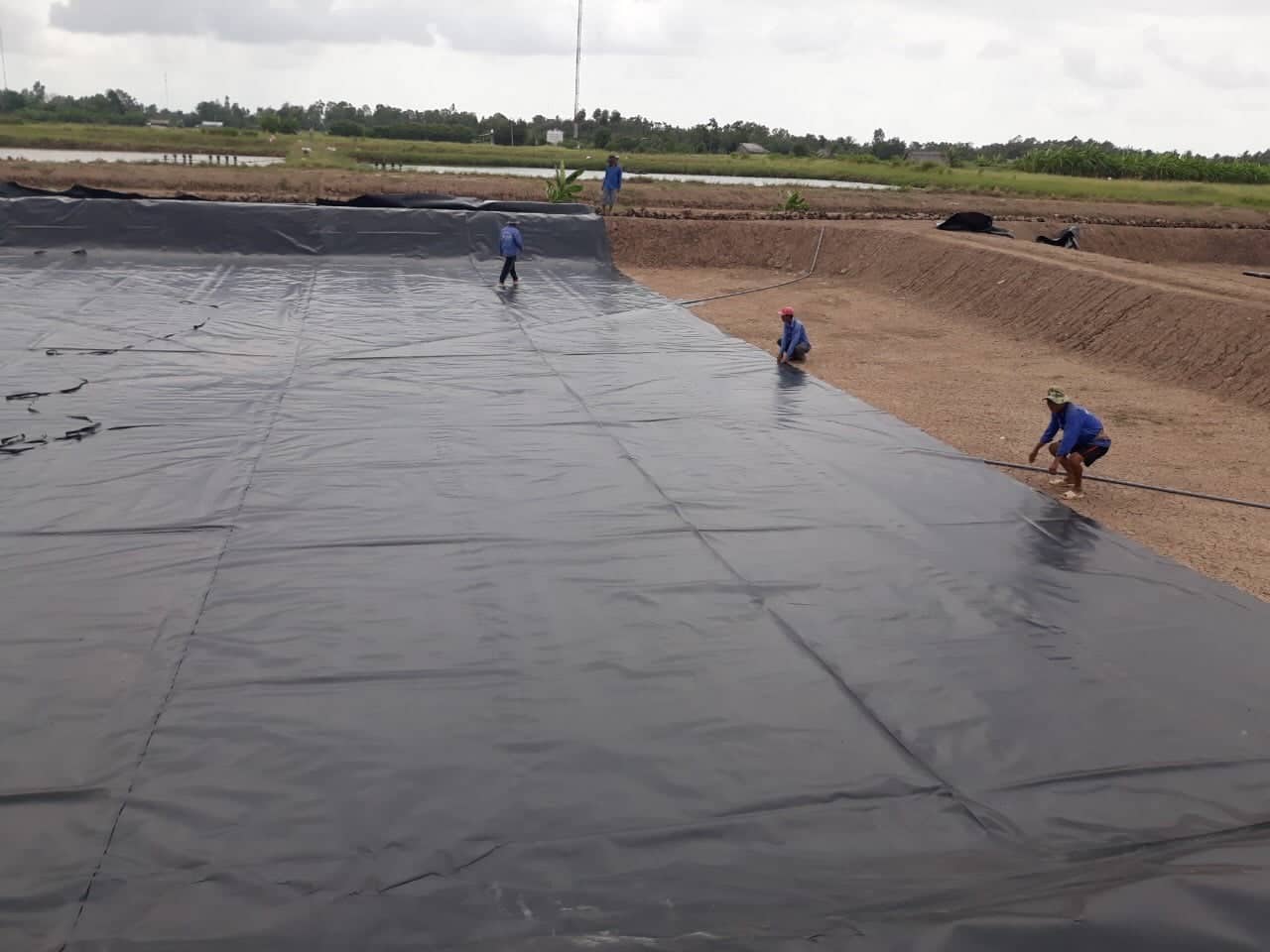 Bạt lót hồ nuôi tôm giá rẻ