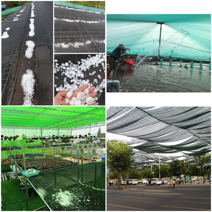 Lưới chống nắng