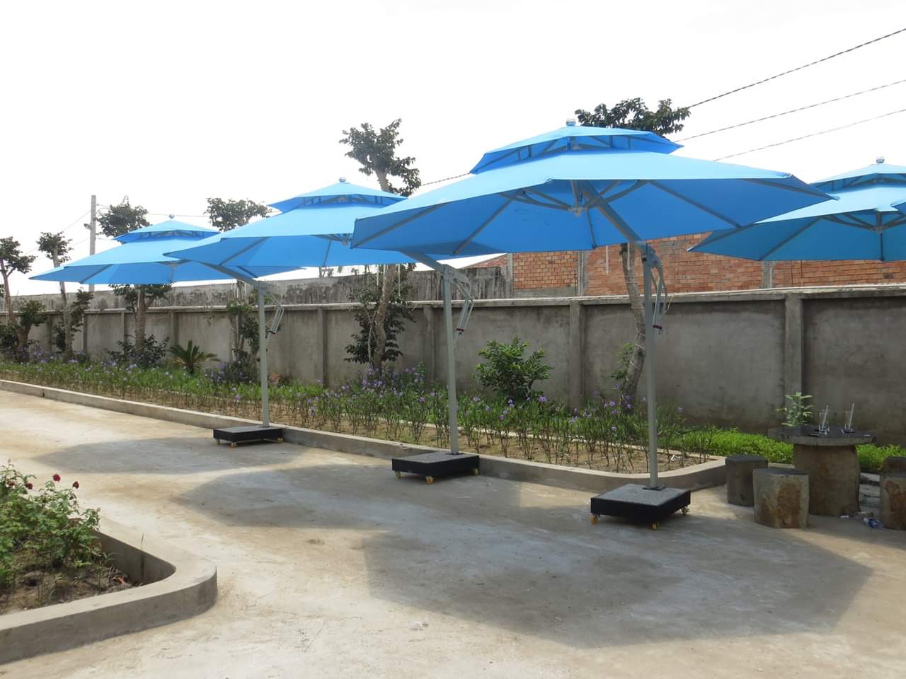 Dù che nắng giá rẻ