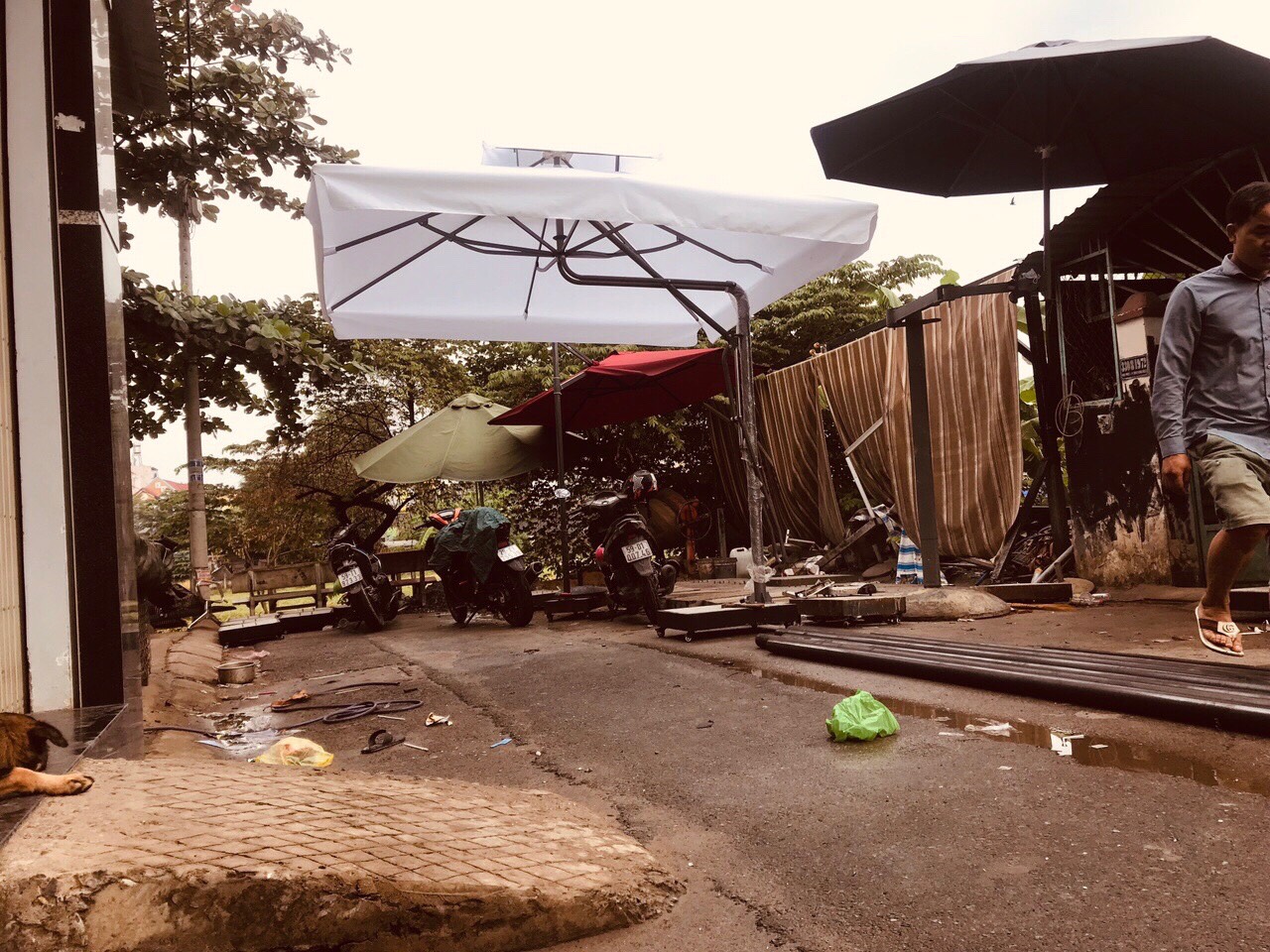 Dù che nắng giá rẻ