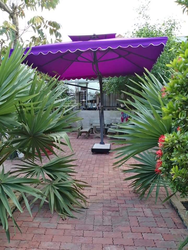 Ô dù che nắng ngoài trời giá rẻ